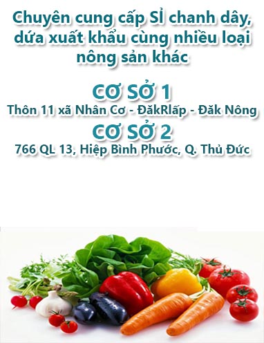 Chanh dây Đăk Nông