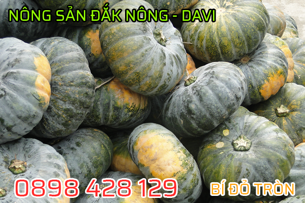 Bán sỉ bí đỏ tròn