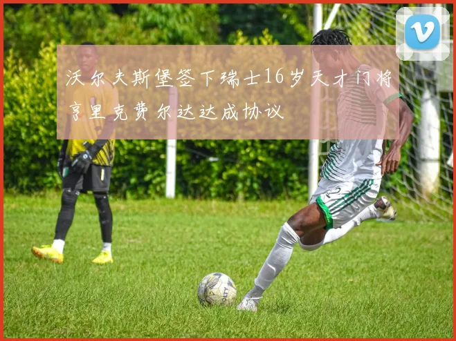 沃尔夫斯堡签下瑞士16岁天才门将亨里克费尔达达成协议
