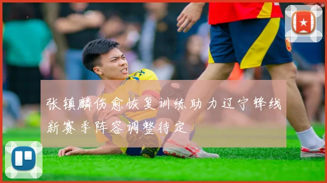 张镇麟伤愈恢复训练助力辽宁锋线新赛季阵容调整待定