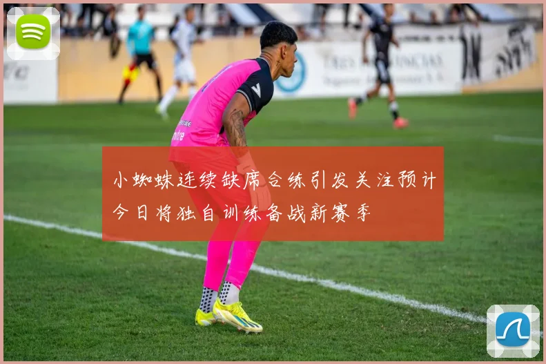 小蜘蛛连续缺席合练引发关注预计今日将独自训练备战新赛季